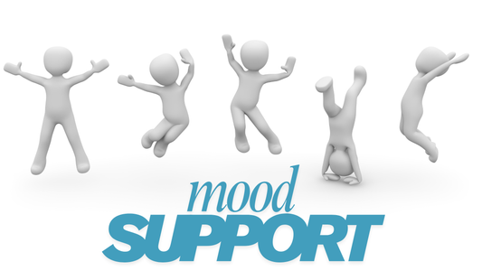 Mood Support 101